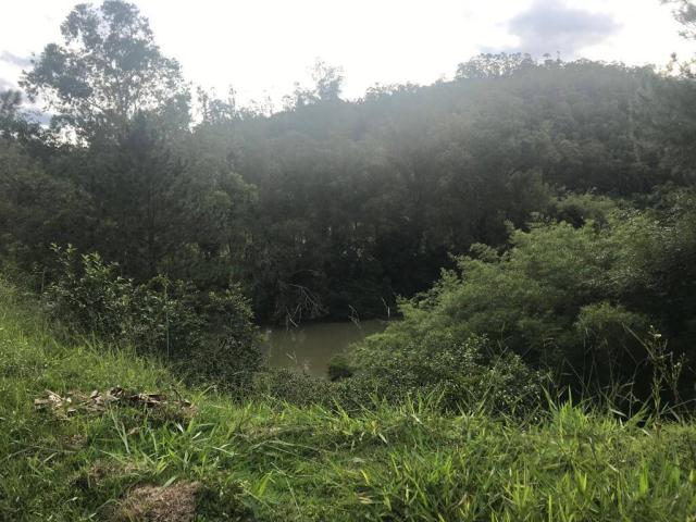 #TEV105 - Terreno para Venda em Santa Branca - SP - 3