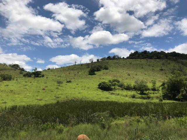 #SIV101 - Sítio para Venda em Santa Branca - SP - 2