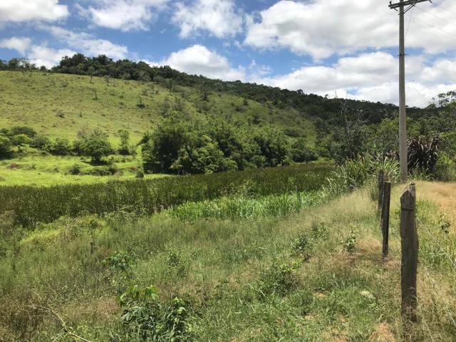 #SIV101 - Sítio para Venda em Santa Branca - SP - 3