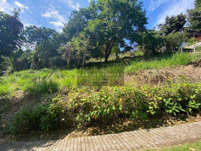 #TEV 110 - Terreno em condomínio para Venda em Ilhabela - SP - 2
