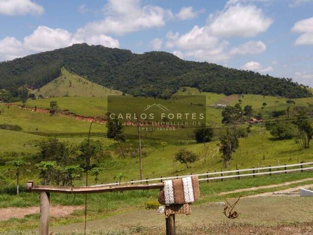 #CHV 595 - Chácara para Venda em Paraibuna - SP - 2