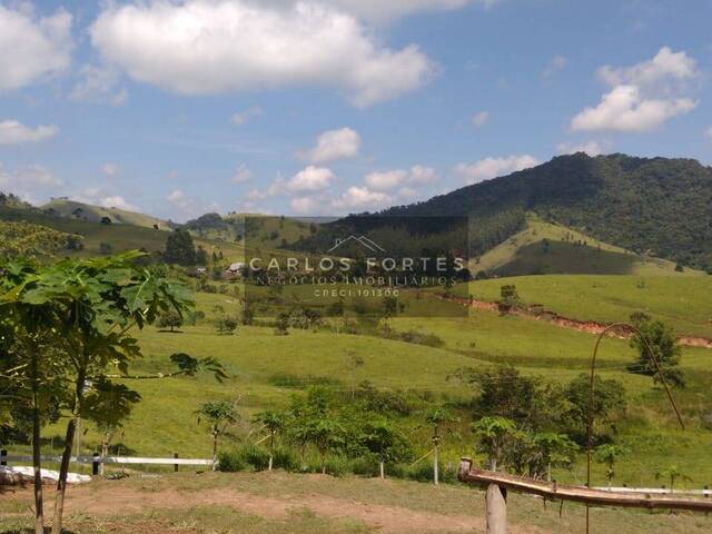 Chácara para Venda em Paraibuna - 4
