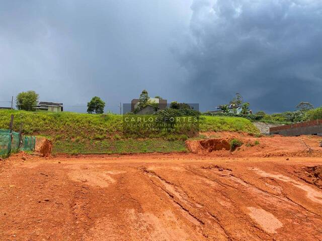 #TE0082 - Terreno em condomínio para Venda em Jambeiro - SP - 2