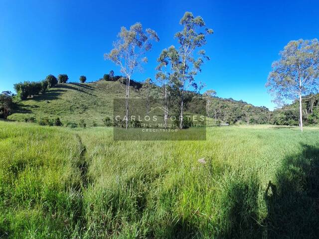 #SIV705 - Sítio para Venda em Paraibuna - SP - 3