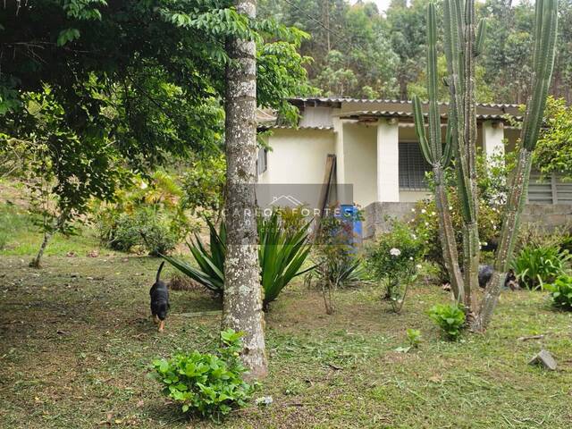 #CHV716 - Chácara para Venda em Paraibuna - SP - 3