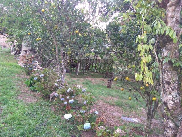Chácara para Venda em Paraibuna - 4