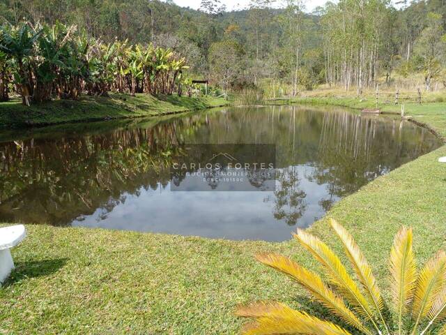 Venda em Serrinha - Paraibuna