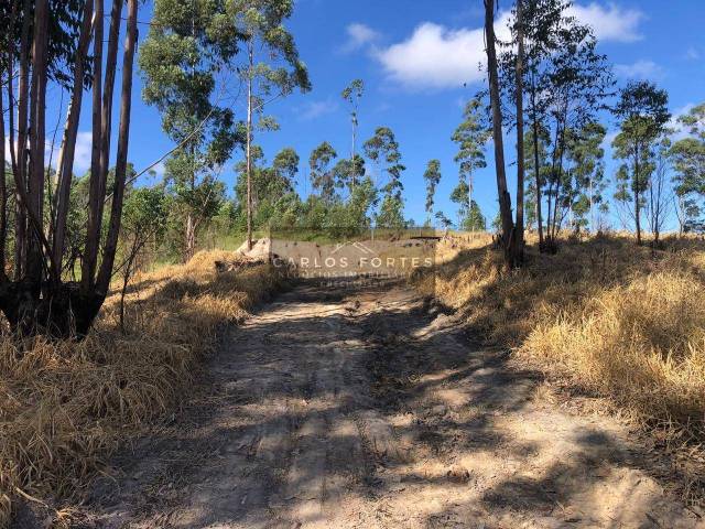 #CHV756 - Área para Venda em Santa Branca - SP - 1