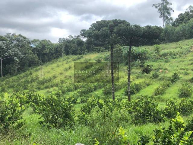 Área para Venda em Santa Branca - 4