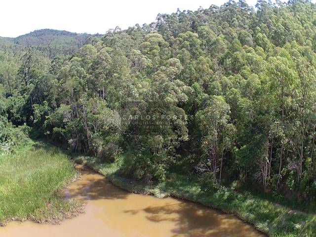 Área para Venda em Santa Branca - 4