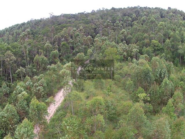 Área para Venda em Santa Branca - 5