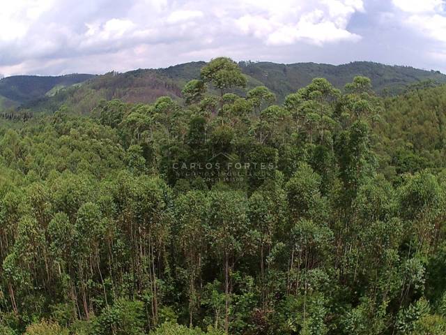 Chácara para Venda em Santa Branca - 4