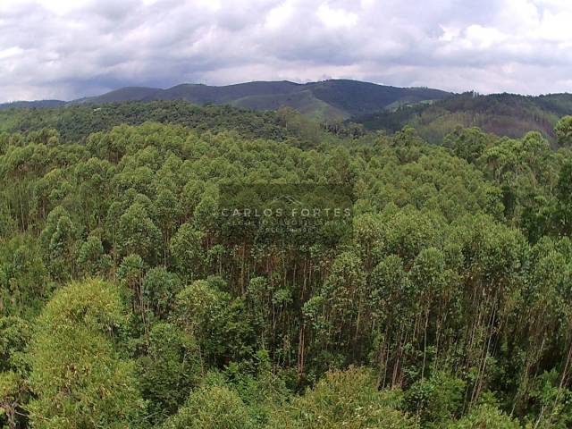 #CHV756 - Área para Venda em Santa Branca - SP - 3