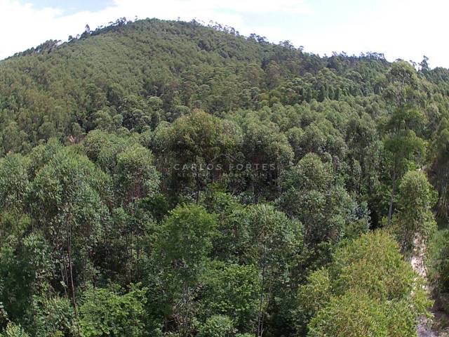 Chácara para Venda em Santa Branca - 5