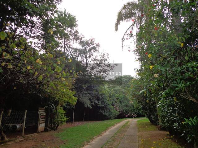 #SIV831 - Sítio para Venda em Jambeiro - SP - 2
