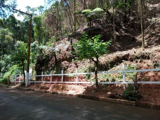 #TE0086 - Terreno para Venda em Campos do Jordão - SP - 1