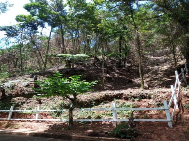 #TE0086 - Terreno para Venda em Campos do Jordão - SP - 2