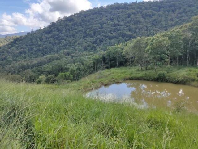 #SIV0008 - Sítio para Venda em São José dos Campos - SP - 1